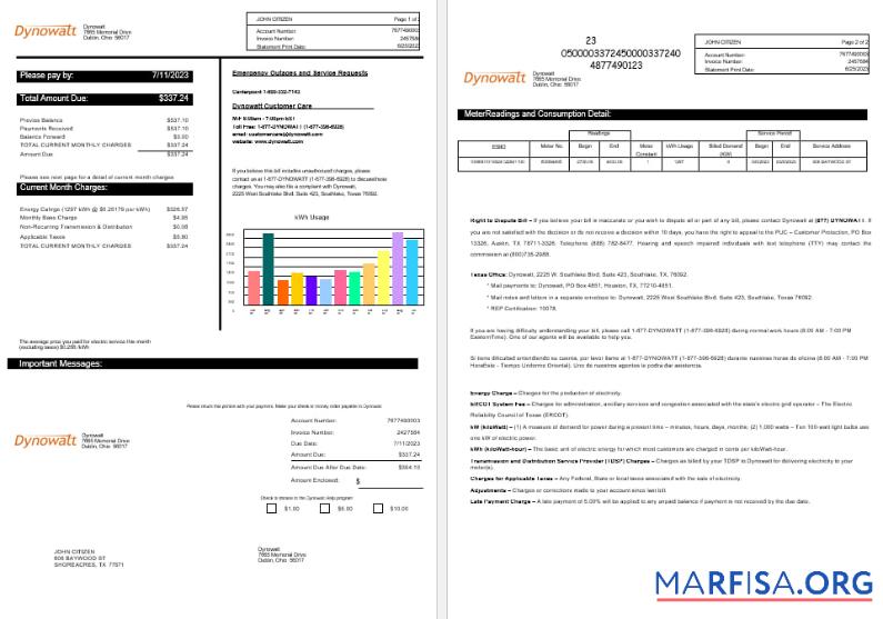 Printable New York Dynowatt electricity utility bill Word and PDF formats sample